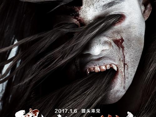 本科学位证号